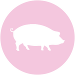 Правдивый гороскоп на 2024 год