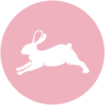 2023: год какого животного по восточному календарю